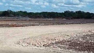 Photo of Continúan obras de Crío en Tzemé a pesar de clausuras de PROFEPA e INAH