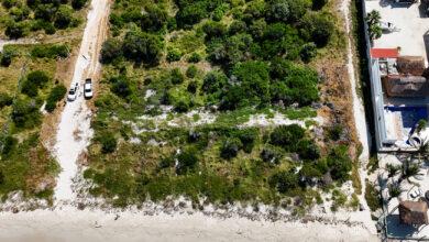 Photo of PROFEPA clausura dos predios en Celestún por afectar ecosistema costero