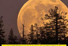 Photo of Super luna y Saturno se verán mágicos en el cielo de Mérida