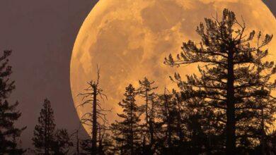 Photo of Super luna y Saturno se verán mágicos en el cielo de Mérida