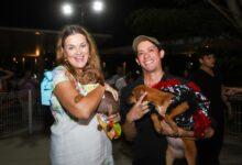 Photo of Mérida refuerza el bienestar animal con campaña de esterilización para perritos callejeros