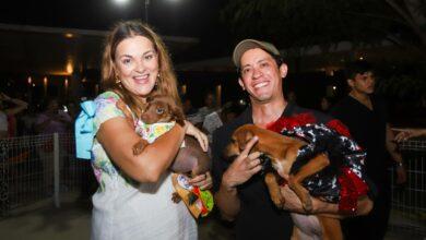 Photo of Mérida refuerza el bienestar animal con campaña de esterilización para perritos callejeros