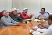 Photo of Gobierno y ganaderos unidos contra el gusano barrenador