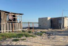 Photo of PROFEPA clausura invasión de manglares en Chelem