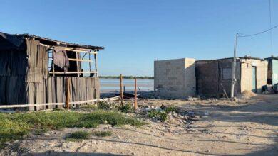 Photo of PROFEPA clausura invasión de manglares en Chelem