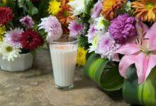 Photo of Joel Lizandro amaba a sus abuelos, le apasionaba el fútbol y le encantaban los videojuegos