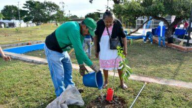 Photo of Mérida inicia la Semana de la Solidaridad 2025 con voluntariado y participación comunitaria