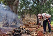 Photo of El pib, un horno de piedra