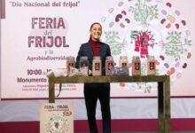 Photo of Promueven los “Frijoles Bienestar”: invitan a la Feria Nacional del Frijol