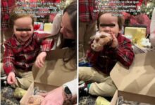 Photo of Niño sorprende en Navidad al pedir pan de muerto en lugar de juguetes