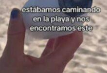 Photo of Encuentra una botella con mensaje en Los Cabos y descubre que contiene cenizas humanas