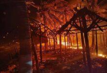 Photo of Arden palapas en Mahahual en Nochebuena