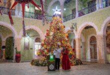 Photo of El Palacio se ilumina: Joaquín Díaz Mena enciende el árbol navideño