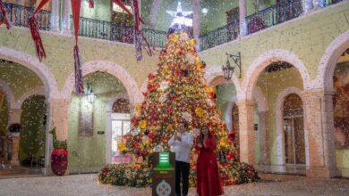 Photo of El Palacio se ilumina: Joaquín Díaz Mena enciende el árbol navideño