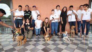 Photo of ¡Los nuevos Reyes Caninos del Carnaval Mérida 2026 ya están aquí!