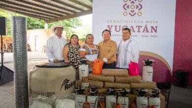 Photo of Yucatán impulsa el renacimiento del campo con nuevos apoyos