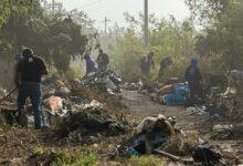 Photo of Servilimpia retira 3.2 toneladas de desechos y mejora vialidad en la comisaría de Cholul