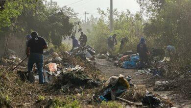 Photo of Servilimpia retira 3.2 toneladas de desechos y mejora vialidad en la comisaría de Cholul