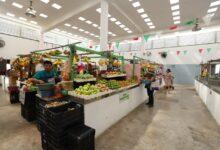 Photo of Mérida impulsa la renovación de sus mercados con acciones de limpieza, seguridad y modernización