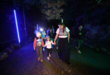 Photo of Mérida enciende la Navidad con el “Sendero de Magia y Luz”