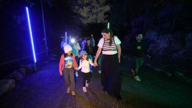 Photo of Mérida enciende la Navidad con el “Sendero de Magia y Luz”