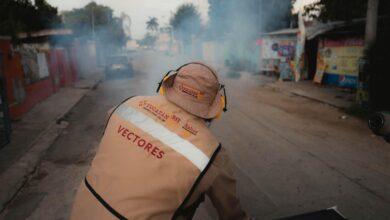 Photo of Yucatán refuerza acciones preventivas ante casos de chikungunya