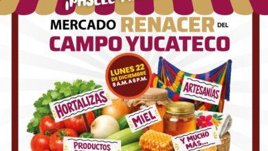 Photo of El Mercado Renacer del Campo Yucateco llega al parque de La Plancha