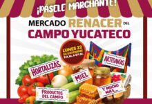 Photo of Productores yucatecos llevarán el campo a la ciudad en el Parque La Plancha