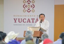 Photo of Yucatán lidera estrategia nacional contra el gusano barrenador