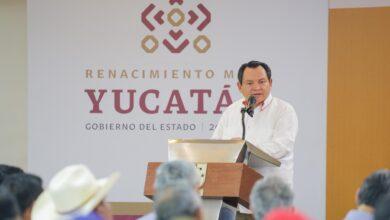 Photo of Yucatán lidera estrategia nacional contra el gusano barrenador