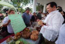 Photo of Inauguran en La Plancha el Mercado Renacer del Campo Yucateco para fortalecer a productores locales