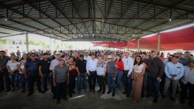 Photo of Impulsa Gobierno estatal la ganadería de Cenotillo con nueva infraestructura y apoyos al campo