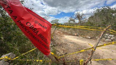 Photo of Pobladores de Yaxcopoil detienen maquinaria que deforestaba monte para banco de materiales