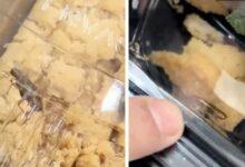 Photo of Video viral muestra cucaracha en una Rosca de Reyes y desata críticas sanitarias