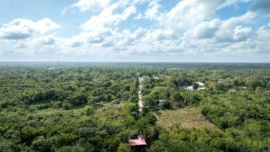 Photo of Gobierno de Yucatán rehabilita caminos rurales para fortalecer la producción agrícola