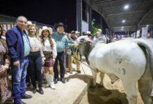 Photo of Gobierno de Yucatán refuerza la ganadería con mayor apoyo en la Feria de Reyes Tizimín