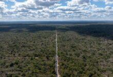 Photo of Gobierno de Yucatán rehabilita camino Cacao–San Antonio Mulix con inversión de 3.3 mdp