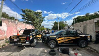 Photo of Tadeo murió por una sepsis de origen patológico