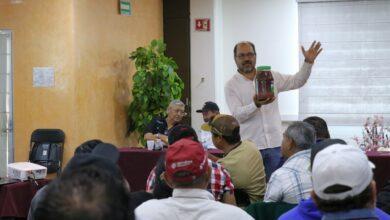 Photo of Inician en Yucatán plan piloto para combatir el gusano barrenador del ganado