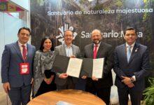 Photo of Yucatán albergará la Cumbre de Turismo de las Américas en 2026