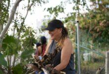 Photo of Gobierno municipal y vecinos impulsan rescate de áreas verdes en Las Américas