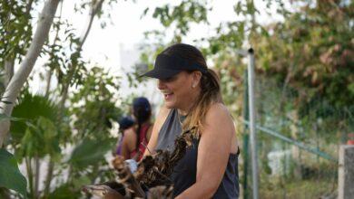 Photo of Gobierno municipal y vecinos impulsan rescate de áreas verdes en Las Américas