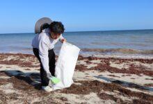 Photo of Recolectan casi 400 kilos de residuos en primera jornada de limpieza de playas 2026 en Telchac Puerto