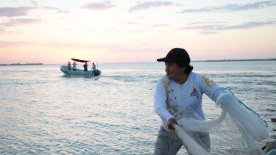 Photo of Gobierno del Estado inicia en febrero la entrega del programa Respeto la Veda 2026