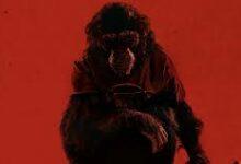 Photo of “Primate”: la película de terror adelanta su llegada a los cines de México