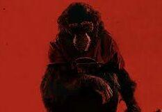 Photo of “Primate”: la película de terror adelanta su llegada a los cines de México