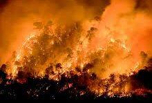Photo of Graves incendios en el centro y sur de Chile dejan decenas de muertos y más de 50 000 evacuados