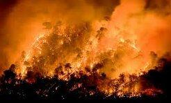 Photo of Graves incendios en el centro y sur de Chile dejan decenas de muertos y más de 50 000 evacuados