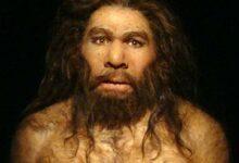 Photo of Estudio revela que apareamientos entre neandertales y humanos prehistóricos fueron mayoritariamente entre hombres neandertales y mujeres Homo sapiens