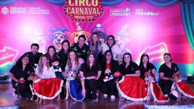 Photo of Carnaval de Mérida corona a sus Reyes Caninos y promueve el bienestar animal